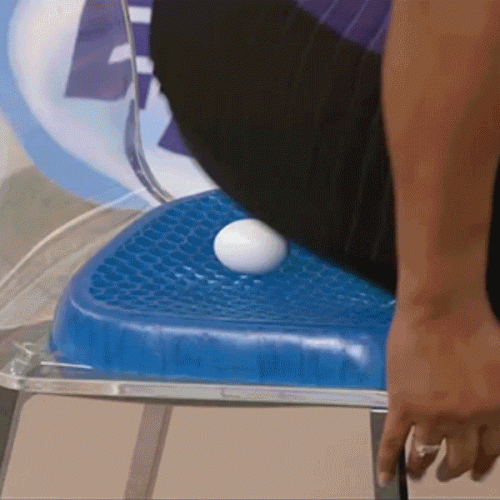 PDP EggSitter GIF